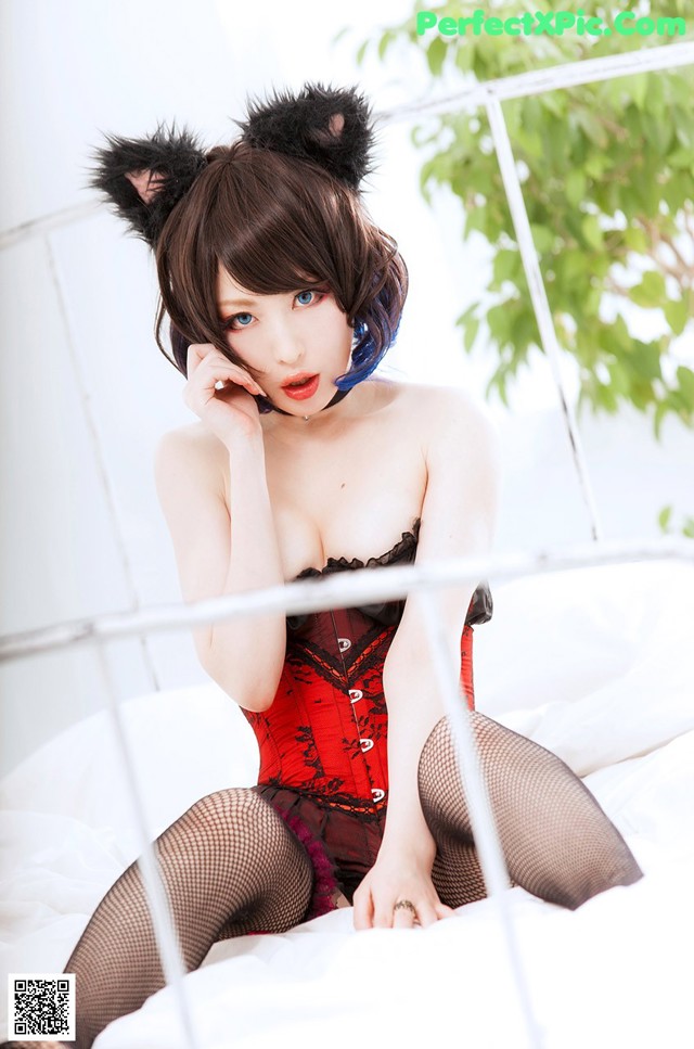 Cosplay Usagi - Tlanjang New Hd No.4a26cd